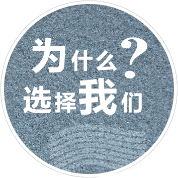 ѡ������